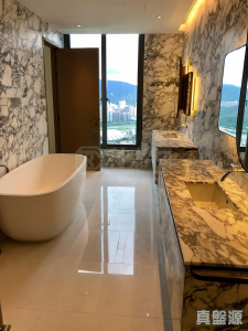 1763433919d5a36a41-2ae8-472c-b394-2de3300f4523.jpeg 澐灃 - 28NTS – 香港北部都會區