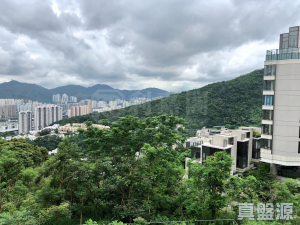 1763433925a170dbc0-c35a-4c57-9013-ee6d6b68d21e.jpeg 澐灃 - 28NTS – 香港北部都會區