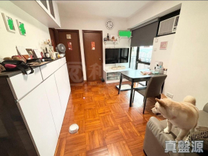 御皇庭 2座 - 28NTS – 香港北部都會區