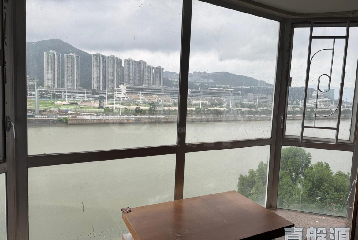 碧濤花園 1期 雅碧閣 (1座) - 28NTS – 香港北部都會區