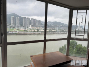 碧濤花園 1期 雅碧閣 (1座) - 28NTS – 香港北部都會區