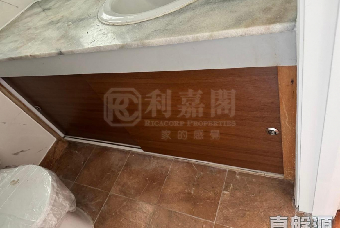 碧濤花園 1期 雅碧閣 (1座) - 28NTS – 香港北部都會區