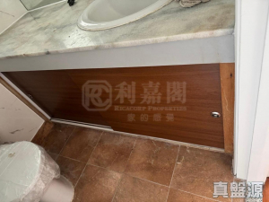 碧濤花園 1期 雅碧閣 (1座) - 28NTS – 香港北部都會區