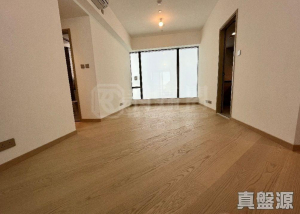 星凱．堤岸 1座 - 28NTS – 香港北部都會區