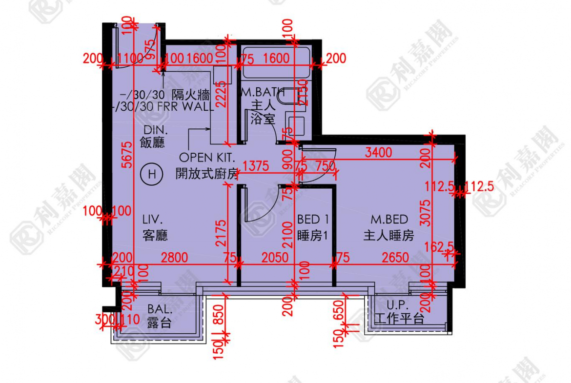 天鑽 9座 - 28NTS – 香港北部都會區