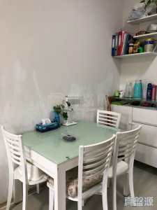 逸峯 3座 - 28NTS – 香港北部都會區