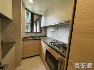 星凱．堤岸 5座 - 28NTS – 香港北部都會區