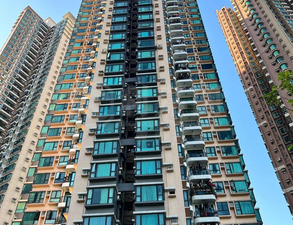 顯峯 - 28NTS – 香港北部都會區