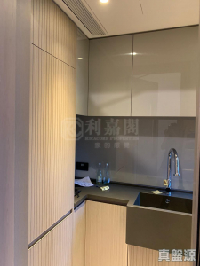 柏傲莊 2期 5座 (5A) - 28NTS – 香港北部都會區