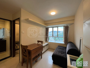 希爾頓中心 D座 - 28NTS – 香港北部都會區