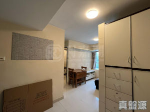 希爾頓中心 D座 - 28NTS – 香港北部都會區