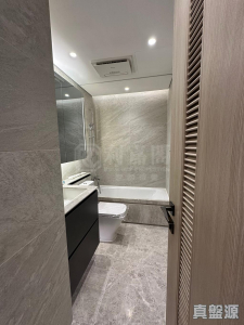 星凱．堤岸 5座 - 28NTS – 香港北部都會區