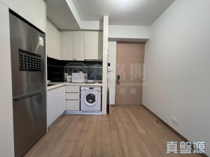 嘉熙 1座 - 28NTS – 香港北部都會區