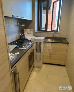 星凱．堤岸 2座 - 28NTS – 香港北部都會區