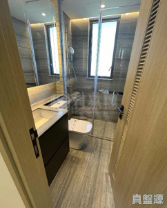 星凱．堤岸 2座 - 28NTS – 香港北部都會區