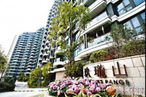 玖瓏山 傲瓏閣 第1座 - 28NTS – 香港北部都會區