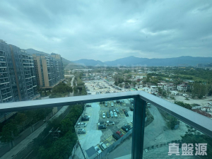 峻巒 3期 PARK YOHO BOLOGNA 8A座 - 28NTS – 香港北部都會區