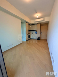 柏瓏 1B期 柏瓏 II 9座 - 28NTS – 香港北部都會區