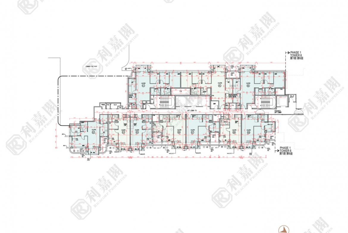 柏瓏 1A期 柏瓏 I 5座 - 28NTS – 香港北部都會區