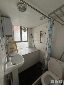 好旺洋樓 - 28NTS – 香港北部都會區