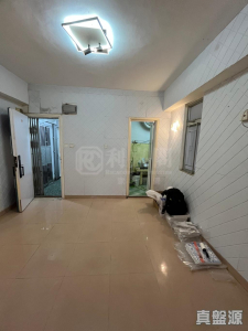 聯昇樓 - 28NTS – 香港北部都會區