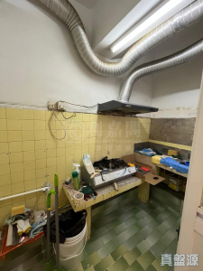 聯昇樓 - 28NTS – 香港北部都會區