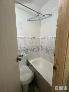 聯昇樓 - 28NTS – 香港北部都會區