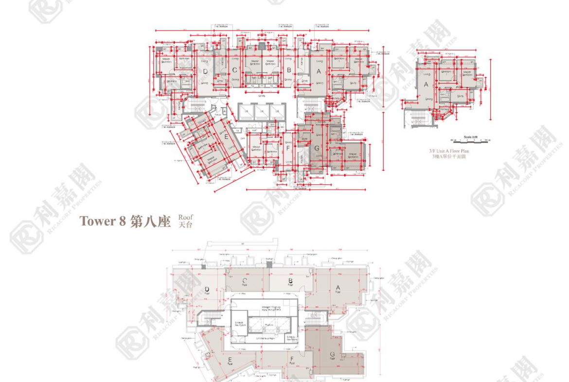 溱柏 8座 - 28NTS – 香港北部都會區