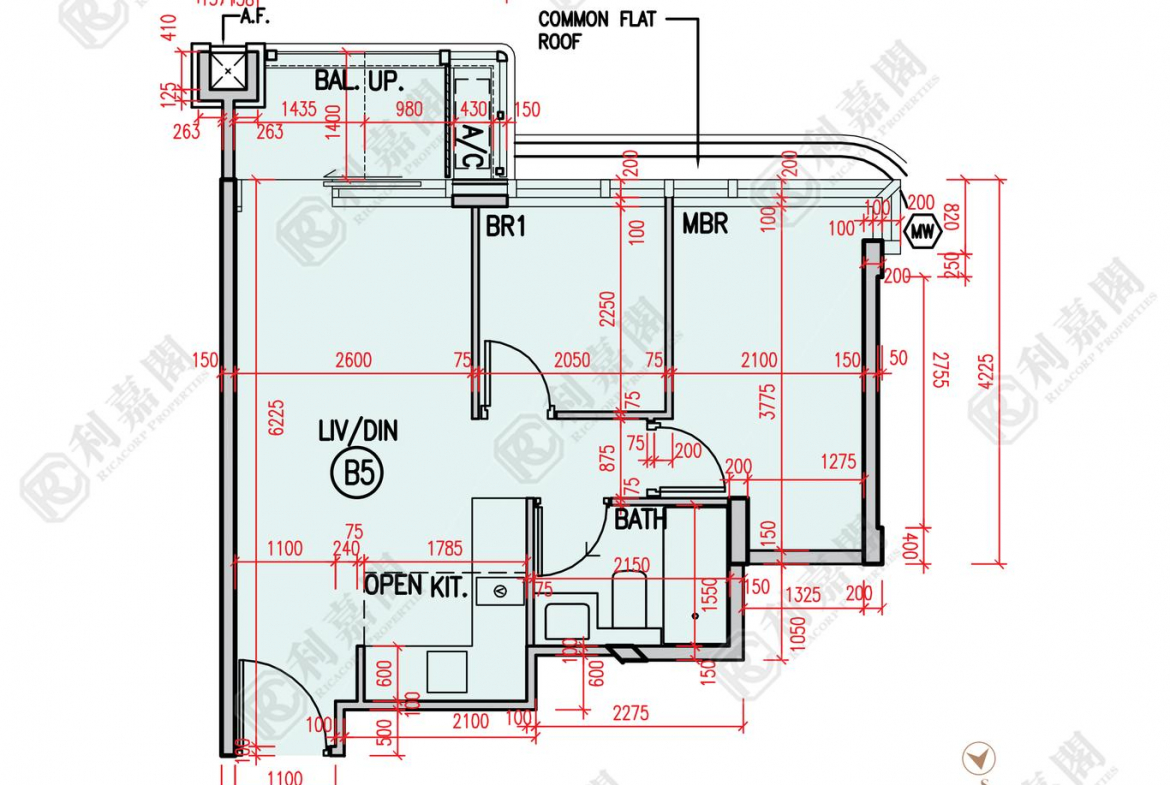 柏瓏 1B期 柏瓏 II 10座 - 28NTS – 香港北部都會區