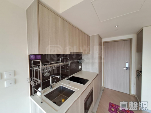 映御 1座 - 28NTS – 香港北部都會區