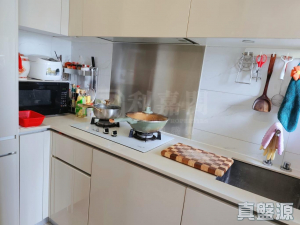 17634440602467d58f-b499-42c6-8e50-9c86e7634dd1.jpeg 尚悅 8座 - 28NTS – 香港北部都會區