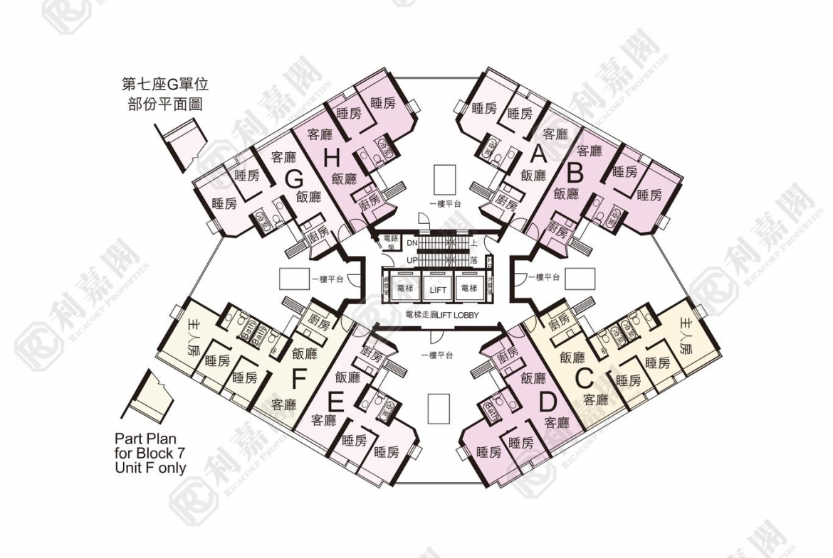 卓爾居 2期 7座 - 28NTS – 香港北部都會區