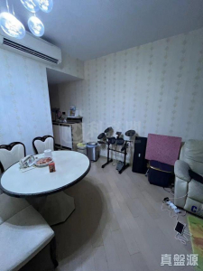 峻巒 1B期 PARK YOHO VENEZIA 3A座 - 28NTS – 香港北部都會區