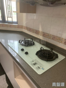 176344523484770358-0f61-49f7-8f15-203556614436.jpeg 雍翠豪園 1座 - 28NTS – 香港北部都會區