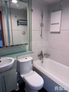 藍天海岸 1期 6座 - 28NTS – 香港北部都會區