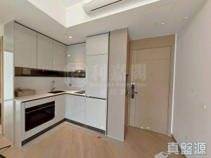 柏瓏 1A期 柏瓏 I 6座 - 28NTS – 香港北部都會區