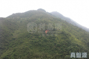 青華苑 華奐閣 (A座) - 28NTS – 香港北部都會區