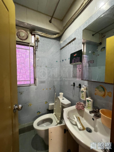 聯昇樓 - 28NTS – 香港北部都會區