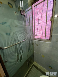 聯昇樓 - 28NTS – 香港北部都會區