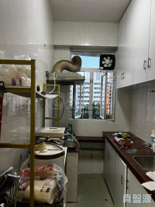 聯昇樓 - 28NTS – 香港北部都會區