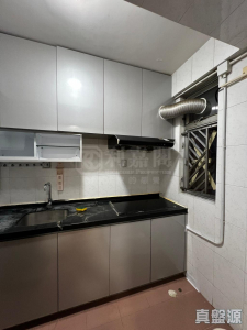 金龍樓 2座 - 28NTS – 香港北部都會區