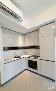 柏瓏 1A期 柏瓏 I 6座 - 28NTS – 香港北部都會區