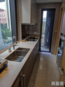 山水盈 3座 - 28NTS – 香港北部都會區