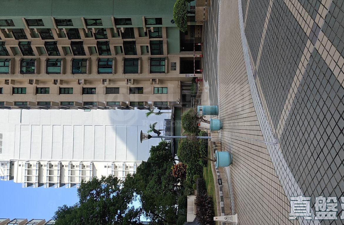 海欣花園 1座 - 28NTS – 香港北部都會區