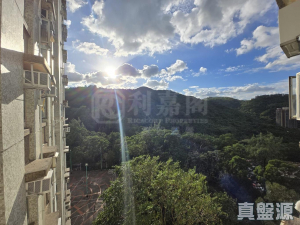 青華苑 華奐閣 (A座) - 28NTS – 香港北部都會區