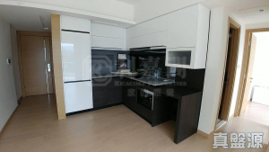 峻巒 2A期 PARK YOHO GENOVA 18A座 - 28NTS – 香港北部都會區