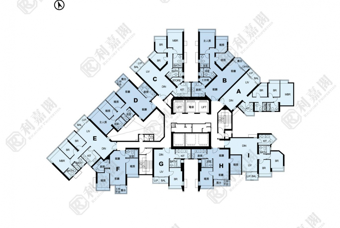 藍天海岸 3期 影岸‧紅 B座 (8座) - 28NTS – 香港北部都會區