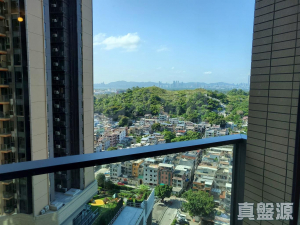 GRAND YOHO 2期 5座 - 28NTS – 香港北部都會區