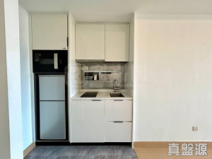 朗屏8號 3座 - 28NTS – 香港北部都會區