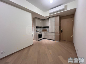 柏瓏 1A期 柏瓏 I 2座 - 28NTS – 香港北部都會區